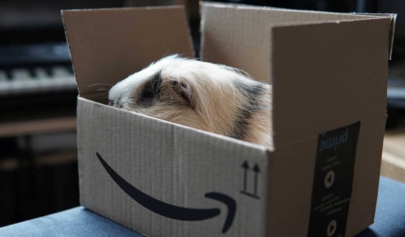 Amazon reparte los domingos